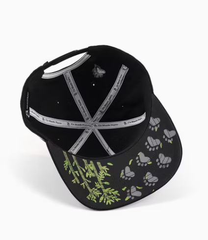 Casquette Snapback